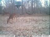 Deer Hunting Preserve