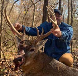 Phillip - 150 inch 9 point