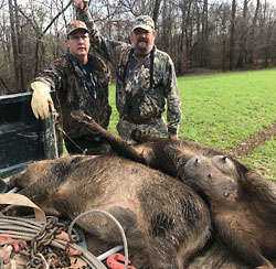 John and Jim - 2 150lb hogs