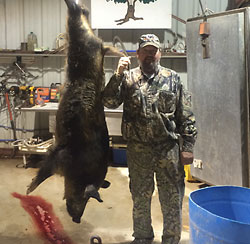Jim - 220 lb boar