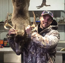 Limb - 170 lb - 8 pt - 14 1/2 wide